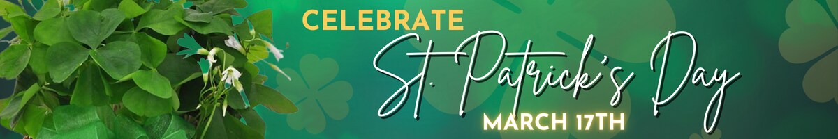 St. Patricks Day banner